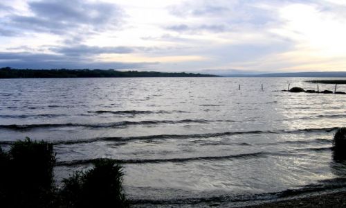 Zdjęcie IRLANDIA / Hrabstwo Limerick / Lough Derg / Nad zalewem Lough Derg,okolice Ballina