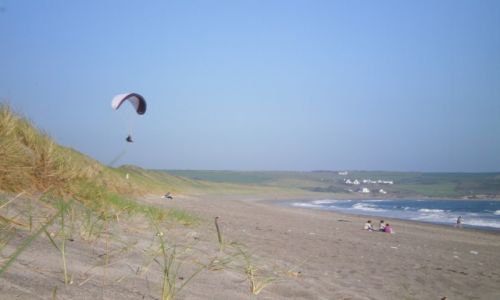 Zdjecie IRLANDIA / County West Cork / Castlefreke-Warren / Just hanging out