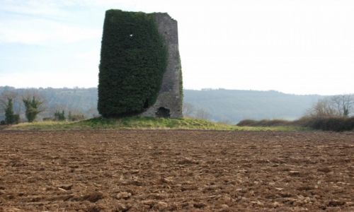 Zdjęcie IRLANDIA / - / Kilsheelan / Zywa elewacja/Martwy budynek.