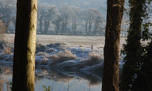 Zdjęcie IRLANDIA / - / Marlfield. / Szron.