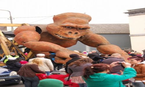 Zdj�cie IRLANDIA / - / Waterford / Praaawie jak zywy.