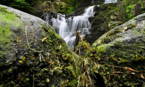 Zdjecie IRLANDIA / Ring Of Kerry / Torc Waterfall / Torc Waterfall
