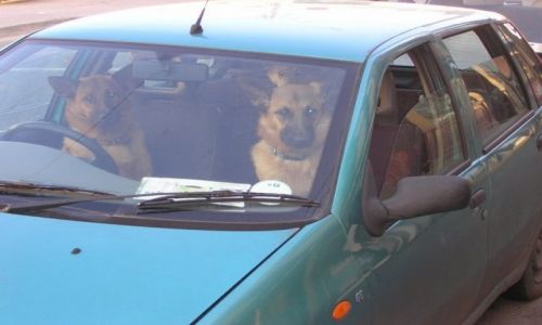 Zdjecie IRLANDIA / Cork / Cork / rodzinka