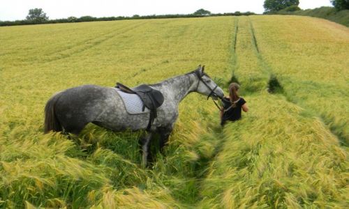 Zdjecie IRLANDIA / Meath / Wilkinstown / Tylko Ty i ja