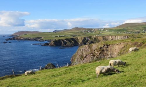 Zdjcie IRLANDIA / West Kerry / Dingle Peninsula / Slea Head