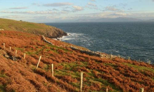Zdjecie IRLANDIA / Kerry / Dingle Peninsula / Slea head