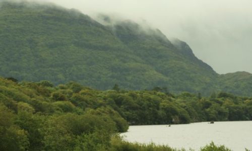 Zdjęcie IRLANDIA / brak / Killarney / Park Narodowy w Killarney