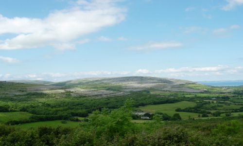 Zdjęcie IRLANDIA / brak / droga do Galway / My Irish reality