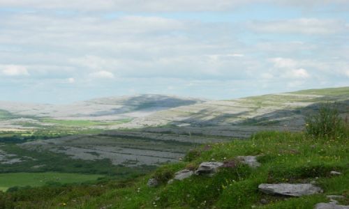 Zdjęcie IRLANDIA / brak / droga do Galway / My Irish reality