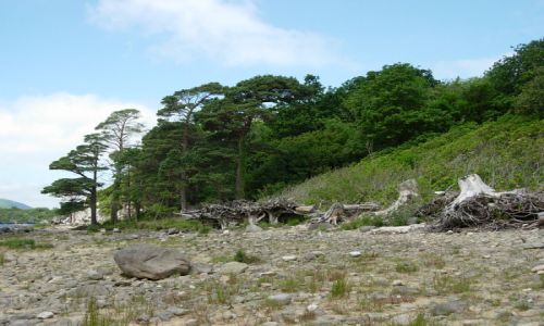 Zdjcie IRLANDIA / hrabstwo Kerry / Killarney National Park / My Irish reality