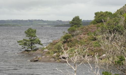 Zdjęcie IRLANDIA / brak / Killarney / Park Narodowy w Killarney