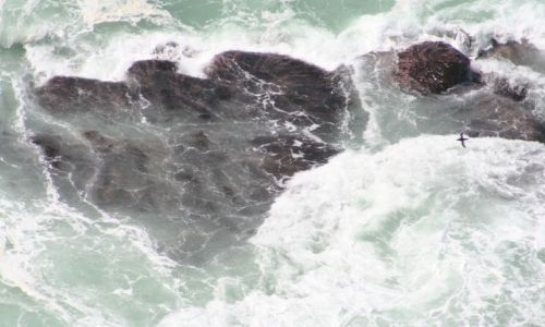 Zdjęcie IRLANDIA / brak / Co Clare / Ocean
