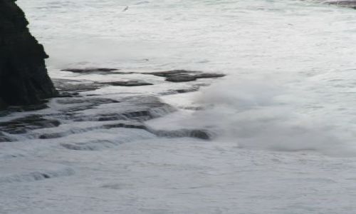 Zdjęcie IRLANDIA / brak / Co Clare / Cliffs of Moher