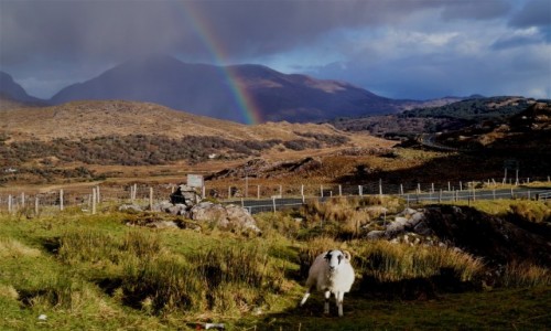 Zdjecie IRLANDIA / Kerry / Moll's Gap / Po drugiej stronie tczy :)