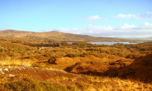 Zdjęcie IRLANDIA / południe / Irlandia / taka irlandia