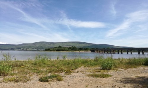 Zdjęcie IRLANDIA / Co.Kildare / Blessington / Blessington Lake