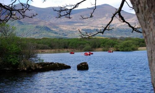 Zdjęcie IRLANDIA / KERRY / RING OF KERRY - ROSS / Przystań