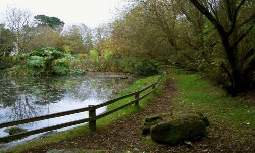 Zdjecie IRLANDIA / CO. LIMERICK / BUNRATTY / irlandzkie klimaty