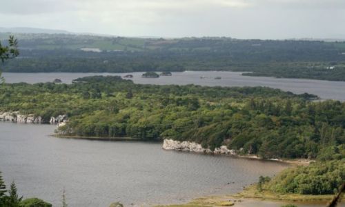 Zdjęcie IRLANDIA / brak / Co. Kerry / Park Narodowy w Kilarney