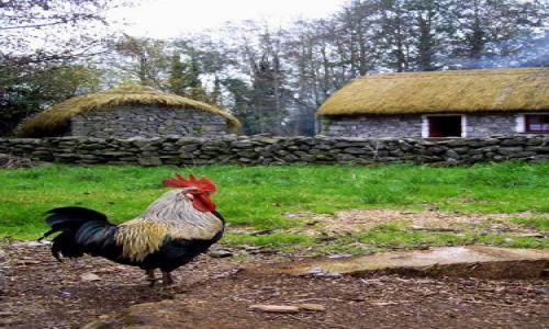 Zdjecie IRLANDIA / brak / bunratty / bajka?