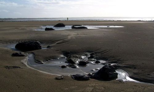 Zdjecie IRLANDIA / brak / ballybunion / nad oceanem