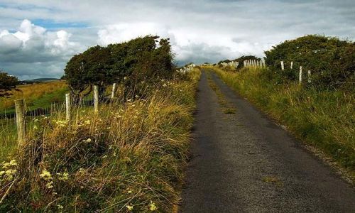 Zdjecie IRLANDIA / St. John's Point / Donegal / lato