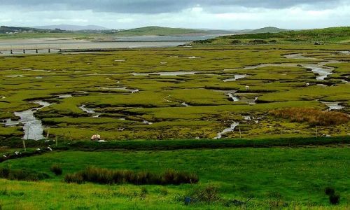 Zdjęcie IRLANDIA / brak / Donegal / tereny zalewowe