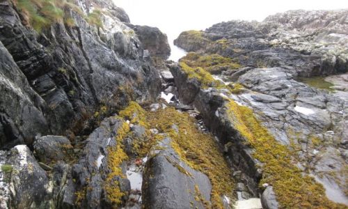 Zdj�cie IRLANDIA / brak / gdzie� tam... na szlaku  / strach