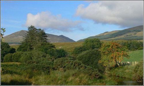 Zdjęcie IRLANDIA / DONEGAL / DONEGAL / W GORACH