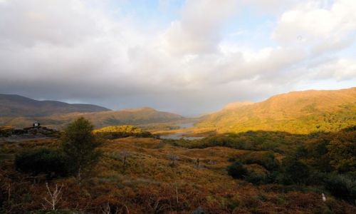 Zdjecie IRLANDIA / Pd-Zach / Killarney Nat. Park / Po prostu Irlandia