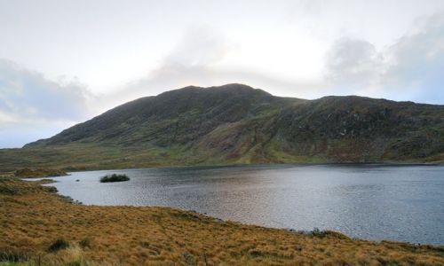 Zdjecie IRLANDIA / Pd-Zach / Killarney Nat. Park / Po prostu Irlandia
