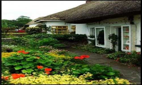 Zdjęcie IRLANDIA / co. Limerick / Adare / irlandzkie chaty
