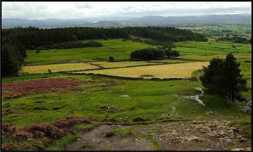 Zdjęcie IRLANDIA / Sligo / Sligo / zielona kraina