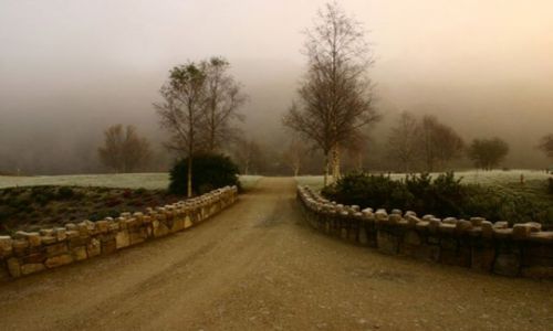 Zdjecie IRLANDIA / wicklow / woodenbridge golf course / a moze w golfa jesienia?