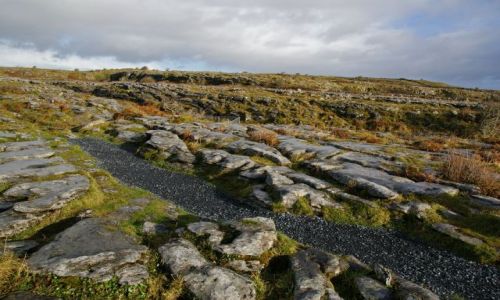 Zdjęcie IRLANDIA / zachodnie wybrzeże / irlandia / The Burren
