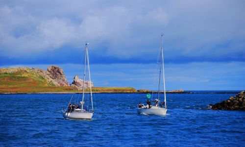 Zdjecie IRLANDIA / Dublin / Półwysep Howth / Żaglówki