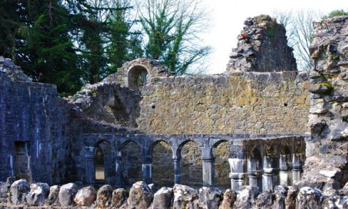 Zdjęcie IRLANDIA / Galway / Portumna  / Ruiny