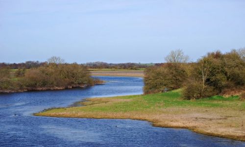 Zdjecie IRLANDIA / Offaly / Shannonbridge  / Rzeka Shannon