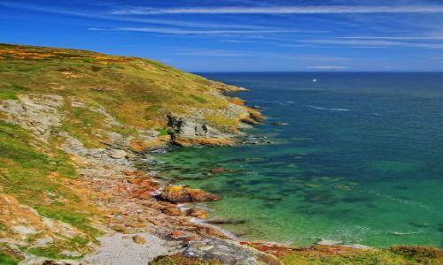 Zdjcie IRLANDIA / Howth / brak / Klify w Howth