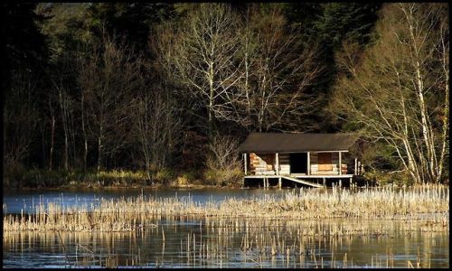 Zdjęcie IRLANDIA / Birr, co.Offaly / ogrody Birr Castle / to o czym marzę...