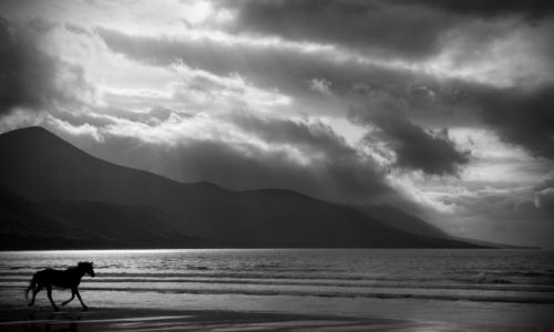 Zdjecie IRLANDIA / Kerry / Dingle Bay / Dingle Bay