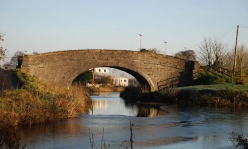 Zdjęcie IRLANDIA / kildare / baleti / zima w irlandi