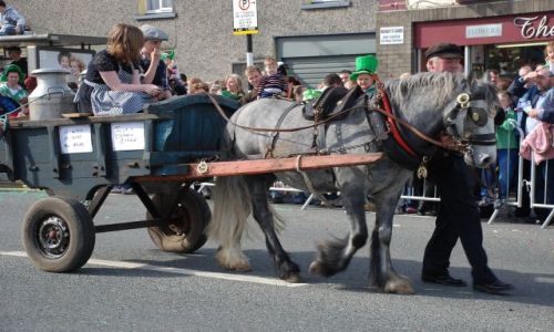 Zdjęcie IRLANDIA / newbridge / parada świętego patryka / końik