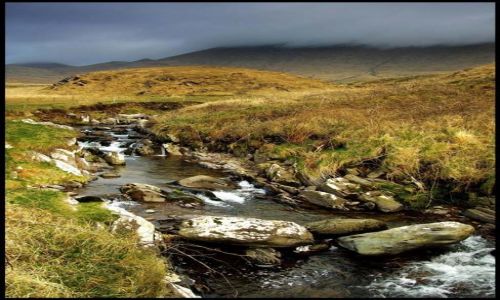 Zdjcie IRLANDIA / co.Kerry / pwysep Dingle / potok