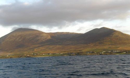 Zdjecie IRLANDIA / brak / Connemara park, widok z ajby / Moja Irlandia