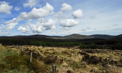 Zdjęcie IRLANDIA / Glendalough / Glendalough / w drodze