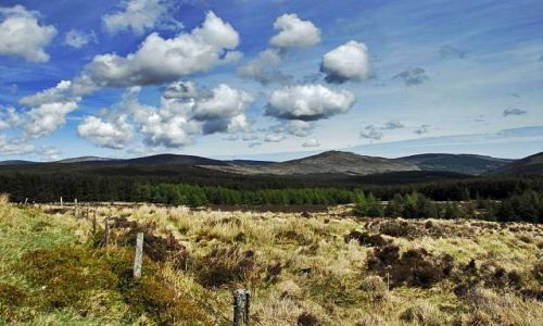 Zdjęcie IRLANDIA / Glendalough / Glendalough / w drodze (mała poprawka)