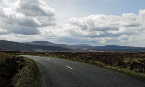 Zdjecie IRLANDIA / Wicklow / brak / krajobraz