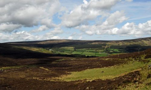 Zdjęcie IRLANDIA / Wicklow / gory / okolice