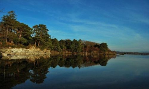 Zdjecie IRLANDIA / Kerry / Killarney Lake / Killarney Lake